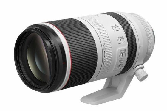 Canon RF 100-500mm f/4.5-7.1L IS USM