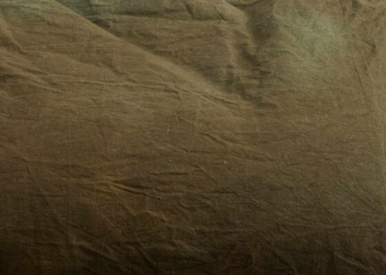 Earthy Green Cloth Background
